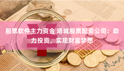 股票软件主力资金 塔城股票配资公司：助力投资，实现财富梦想